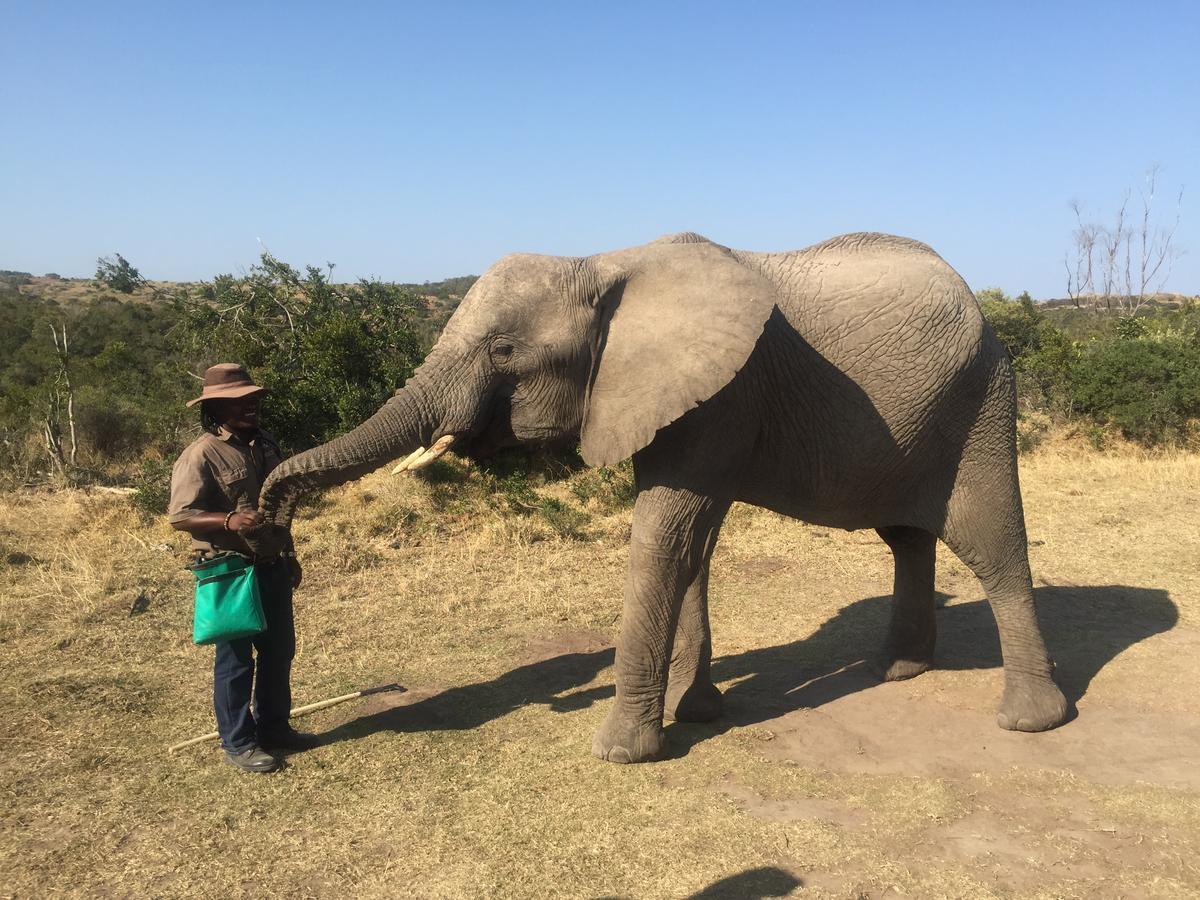 African Crags Eco-Lodge The Crags 외부 사진